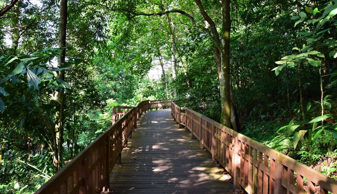 Bukit Timah Nature Reserve